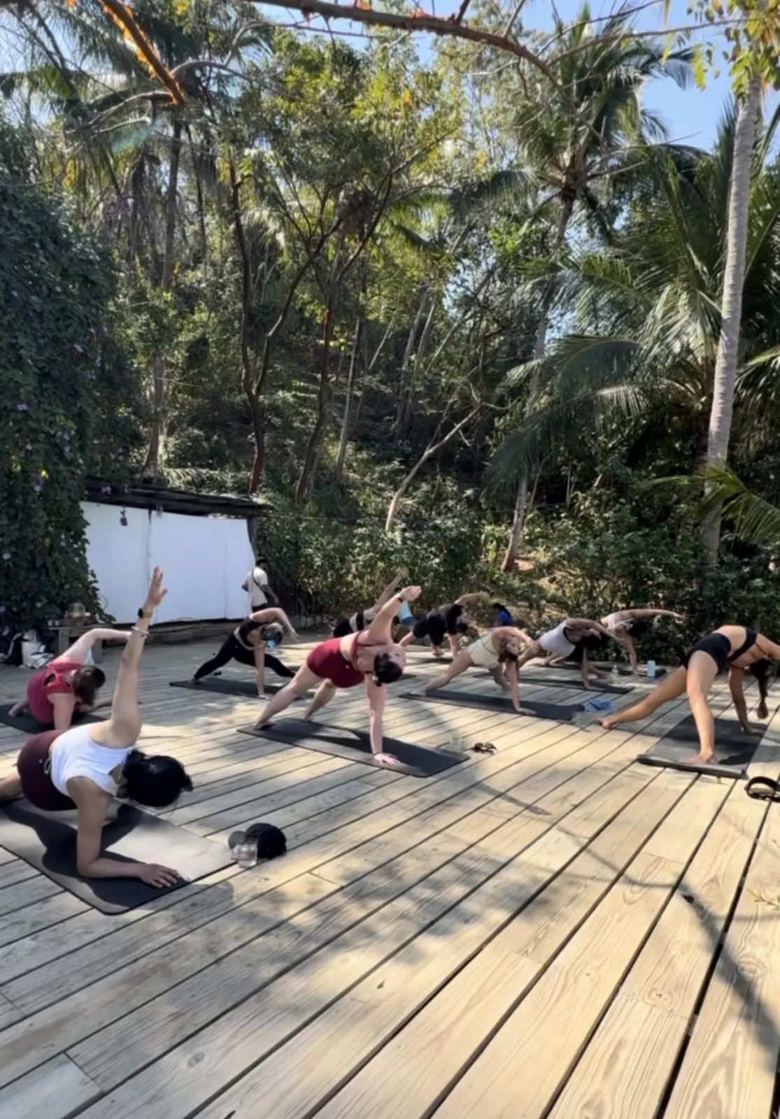 Group yoga on a wooden deck in the jungle